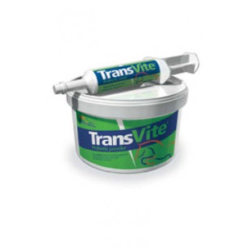 Equine Products Transvite Probiotic Paste 3x30g syringe